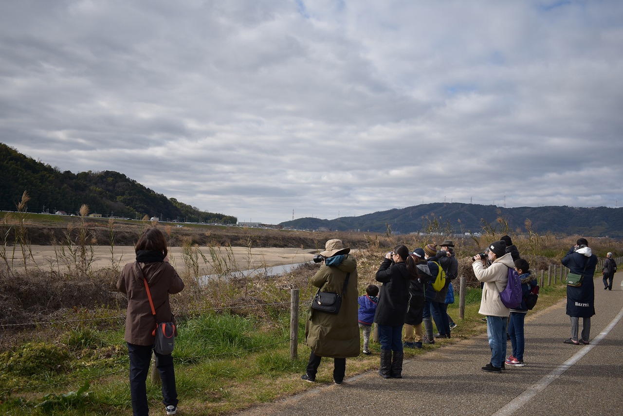 八幡の背割堤とグリーンインフラ ～河川環境の変化と野鳥～